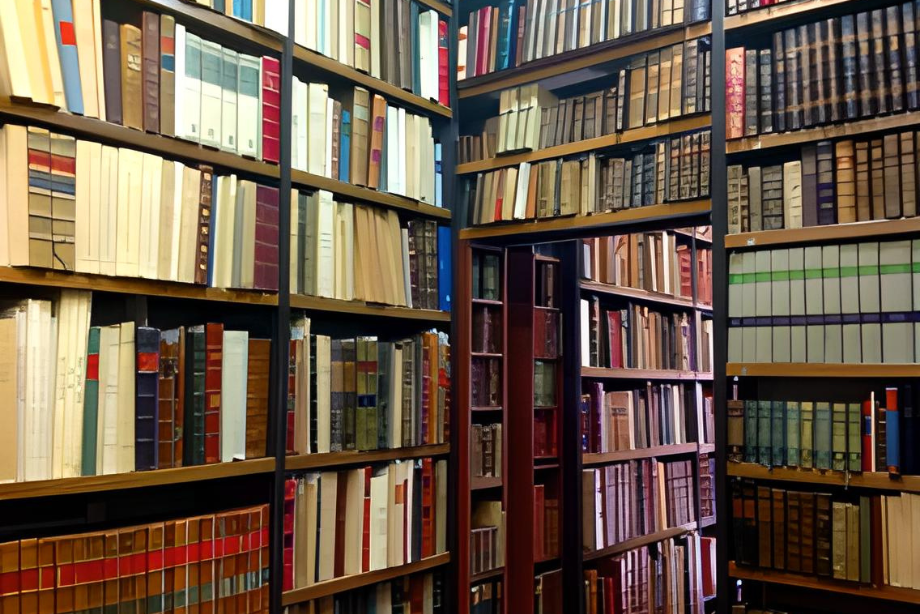 imagen de libros de segunda mano en la Librería Anticuaria Sanz en Madrid